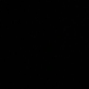 Meet your Posher, Gracie